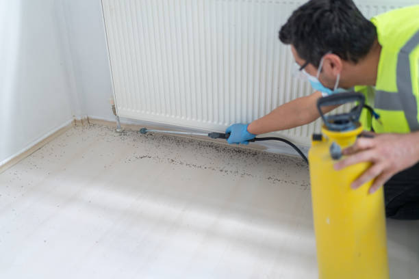 Best Affordable Pest Control Services  in North Wales, PA